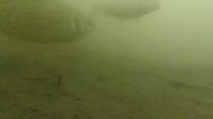 ЭТОТ МЕТОД КОСИТ ПАССИВНОГО КАРАСЯ! ловля карася зимой зимняя рыбалка карась на боковой кивок