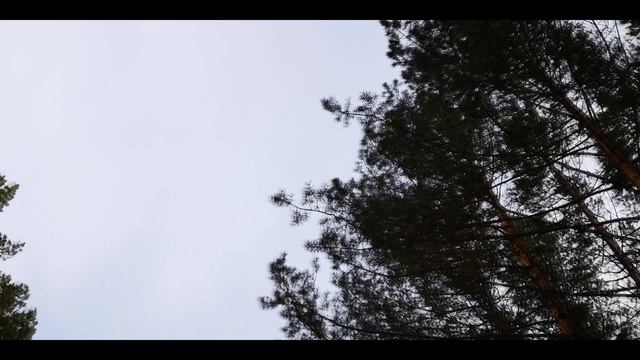 ГРЕМЯЧЯЯ ГРИВА 2020 ЗИМА