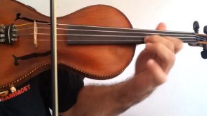 violin gusetto