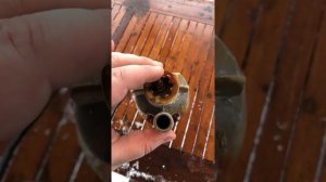 Вибрационный насос Лесник