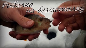 На этой рыбылке выручила безмотылка! Зимняя рыбалка 2022.mp4