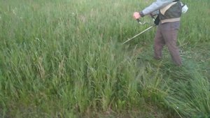 Stihl Fs 70C. Мотокоса для покосов больших территорий.