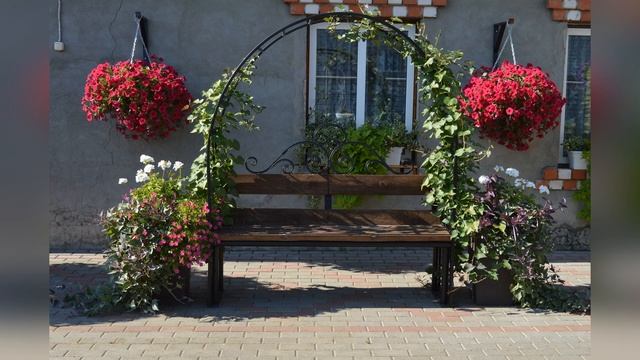 Петуния Wave Carmine Velour смотреть онлайн