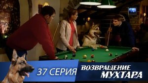 «Возвращение Мухтара»: «Женское счастье» (1 сезон. 37 серия)