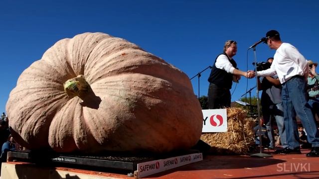 Хэллоуин, 13 фактов [SLIVKI SHOW] смотреть онлайн