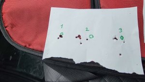 пульки SPOTON 5,5/1,175g кучность