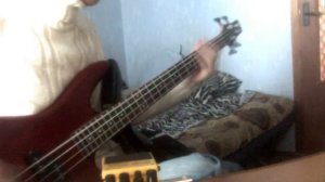 Muse - Supermassive black hole(bass cover)