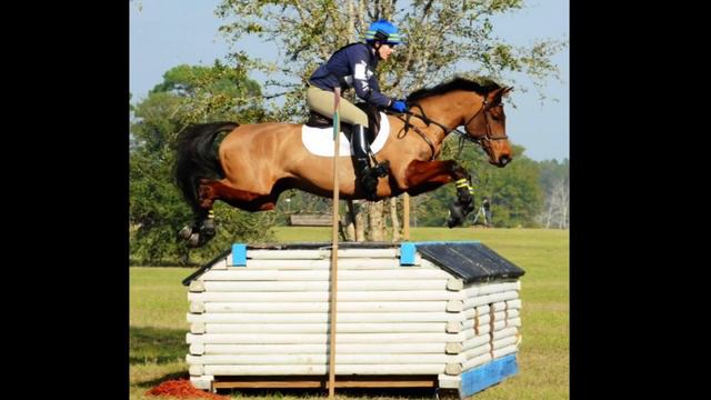 BSF Golden Snitch - US Event Horse Futurity 2021 - Vlog 1 - The Who and Why and How смотреть онлайн