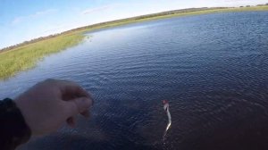 Рыбалка летом,щука окунь с лодки по большой воде!!!