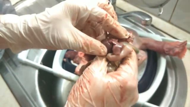 Все о с/х птице ч.17 (Убой и потрошение кур) смотреть онлайн