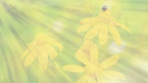 Алиса Мон и Балаган LTD "подорожник трава"