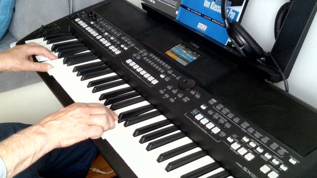 Sommernacht in Rom (G.G. Anderson) cover by Henry / Yamaha PSR SX600 смотреть онлайн