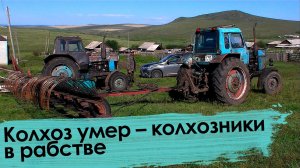 Колхоз умер – колхозники в рабстве