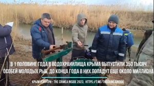 Рыбу выпускают в Симферопольское водохранилище