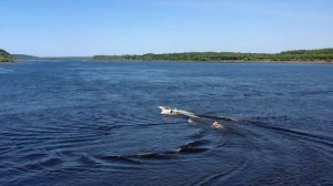 19 июня 2020 - Удмуртская Республика, д. Докша на правом берегу р. Кама.