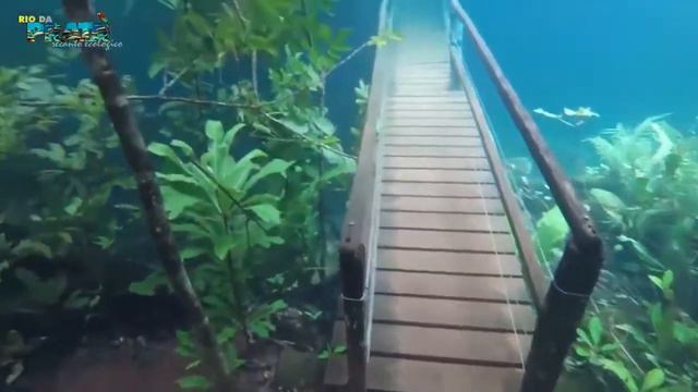 Cильный ливень погрузил тропинку под кристально чистую воду