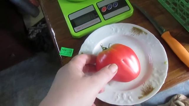 Томат Любимый размер. смотреть онлайн