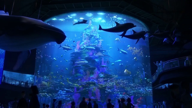 В поисках Дори - финальный трейлер [720p] смотреть онлайн