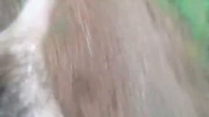 polaris ranger 400 land kayaking!!