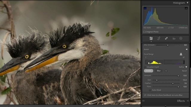 Lightroom Classic Lens Blur Feature Tutorial.