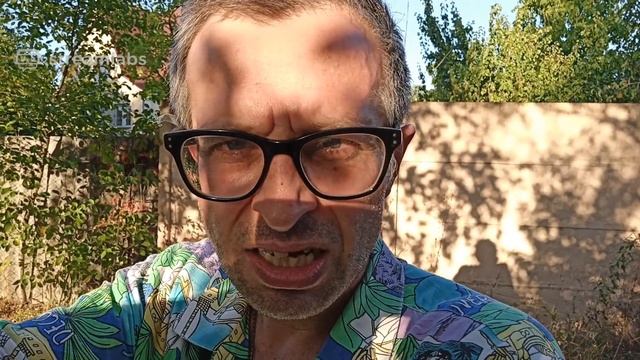 ДОБРО ПОЖАЛОВАТЬ НА СТРИМ! БУХГАЛТЕР С БОКСЁРОМ ВЫШЕЛ НА ДОРОГУ ДОБРА И НАПРАВЛЯЕТСЯ НАВСТРЕЧУ МЕЧТ смотреть онлайн