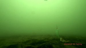 Рыбалка в мороз на Тавричанке! Ловлю навагу зубаря подводные съемки