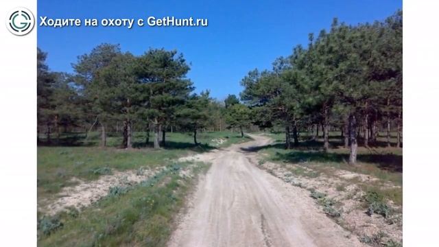 Охота в Краснодарском крае – Ейская РО ККОООР охота на вальдшнепа в Краснодарском крае смотреть онлайн