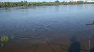 Ловля язя на иртыше в черте города омска