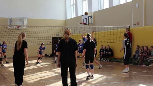 Волейбол