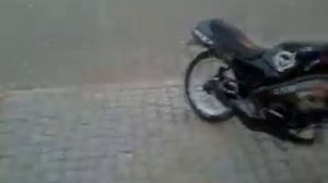 suzuki wolf 50
