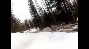 ДТ-54/Т-74 и Т-16 трелёвка