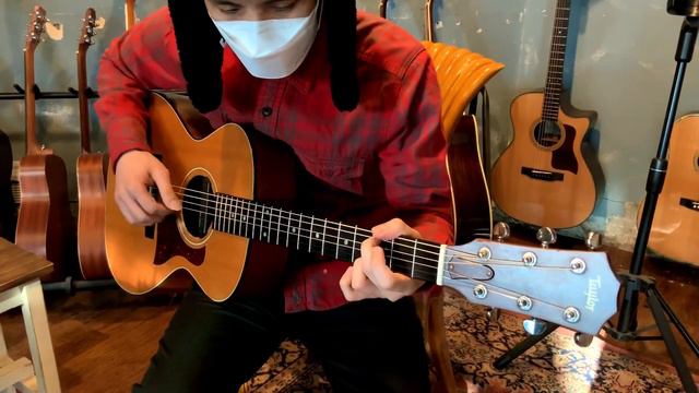 Taylor 412 / Year 1995 / Old Taylor Guitar Sound Sample
