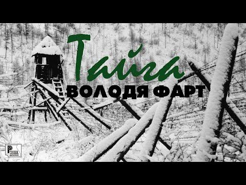 Володя Фарт - Тайга (Песня 2020) | Русский Шансон