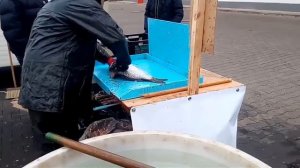 Как в Чехии разделывают живого  Карпа на Рождество,As in the Czech Republic is cut a live carp for