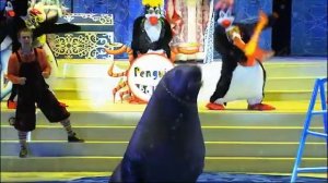 Новогодние Цирковые Шоу в Олимпийском "Цирк Деда мороза", 2013 и 2014 г.г.