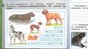 Окружающий мир. Рабочая тетрадь 2 класс 1 часть. ГДЗ стр. 58 №5