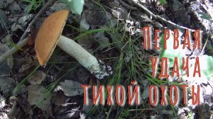 22.06.2024 Первая удача тихой охоты 2024.