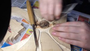 Картина из дерева своими руками