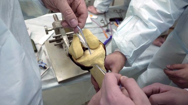 Образовательный курс для врачей РФ.  Артроскопия коленного сустава Arthrex