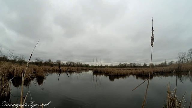 РЫБАЛКА на СПИННИНГ ВЛАДИМИРОВСКИЕ БОЛОТА 2. НОВАЯ РАЗВЕДКА БОЕМ КУБАНЬ. Живите в Кайф! смотреть онлайн
