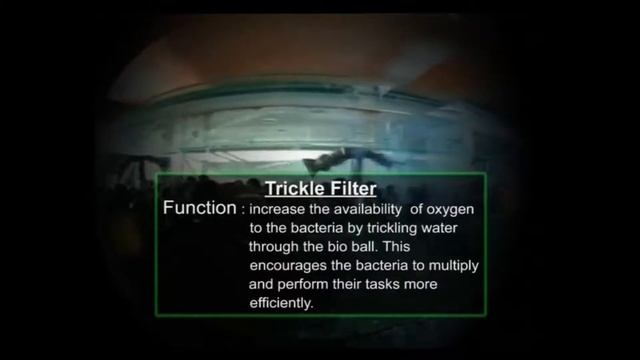 Арована - Рыба - дракон. Короли аквариума. смотреть онлайн