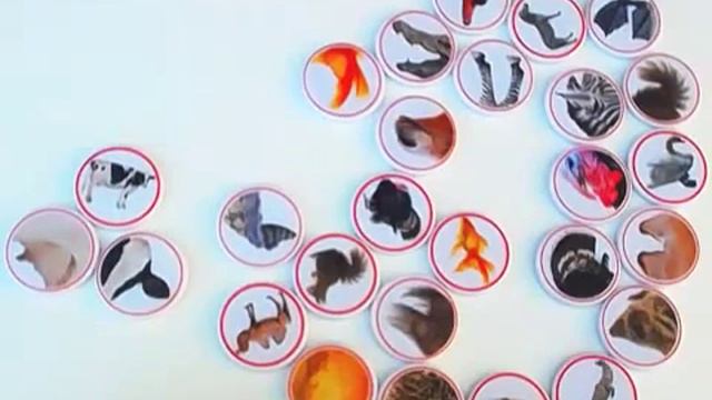 шпаргалки для мамы, изучаем животных , игра с фишками смотреть онлайн