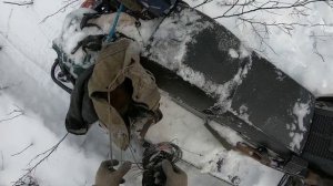 Проверка путика!!! Пушной промысел!!! Живой соболь!!!