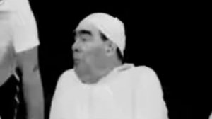 АПИТЕРАПИЯ В СССР