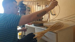 Сорт ивы Литовский. Делюсь впечатления от плетения данным сортом