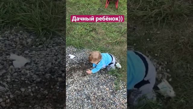 Внуки на даче)) #Дети #дача #shorts #картошка