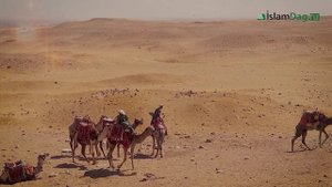 ВЕРБЛЮД: интересные факты из КОРАНА. Корабль пустыни