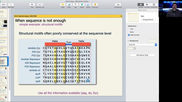 BIOL430 4B.5 Motif finding смотреть онлайн