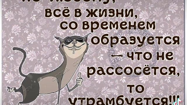 Все образуется картинки