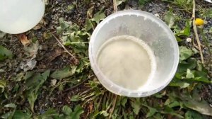 Вода в бензобаке не проблема...